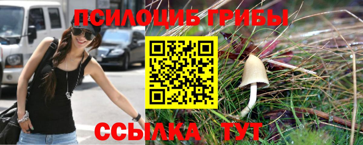 Галлюциногенные грибы Magic Shrooms Заречный
