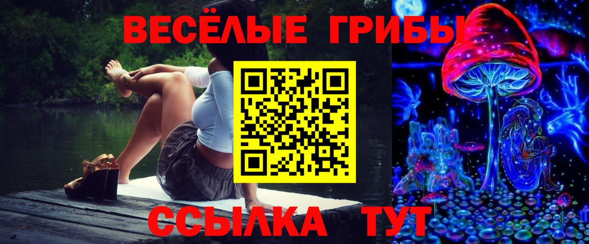 Галлюциногенные грибы ЛСД  Галлюциногенные грибы MAGIC MUSHROOMS  Вход с VPN  Заречный 